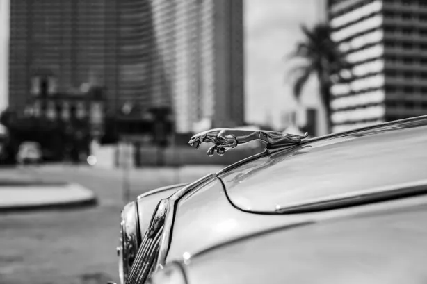 벳오벳 카지노 안드로이드/iOS 앱